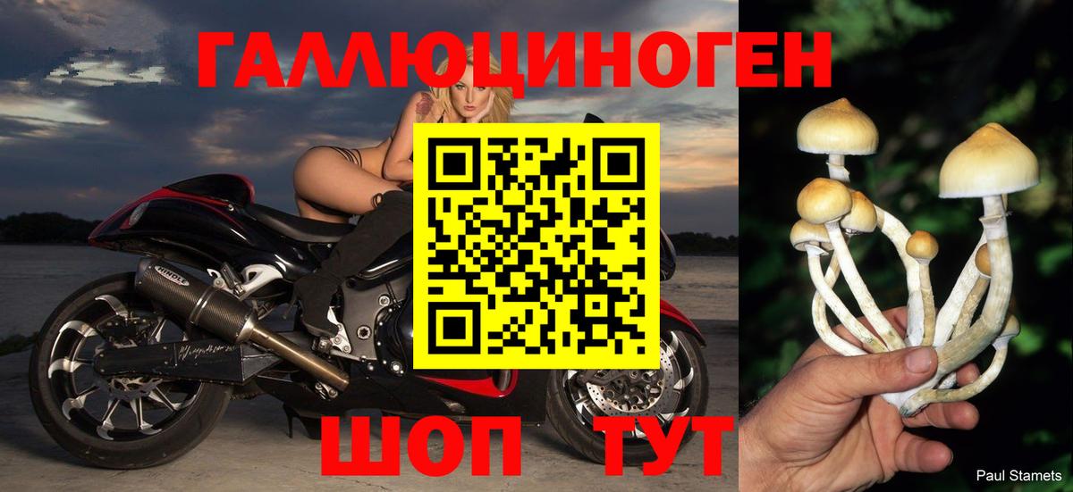 Псилоцибиновые грибы мицелий  Псилоцибиновые грибы Psilocybe  Вход с VPN  Новочеркасск 